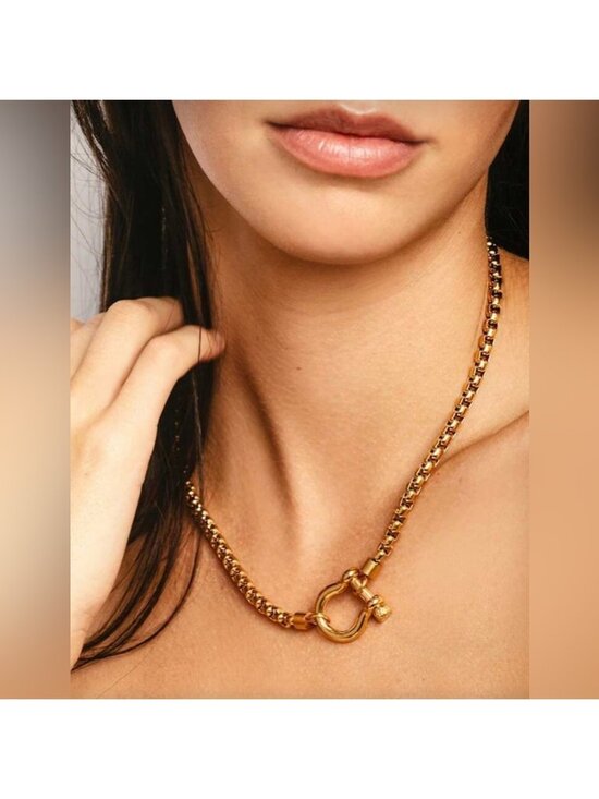Jewelry - Gold Plated Stainless Steel Toggle Chain Necklace